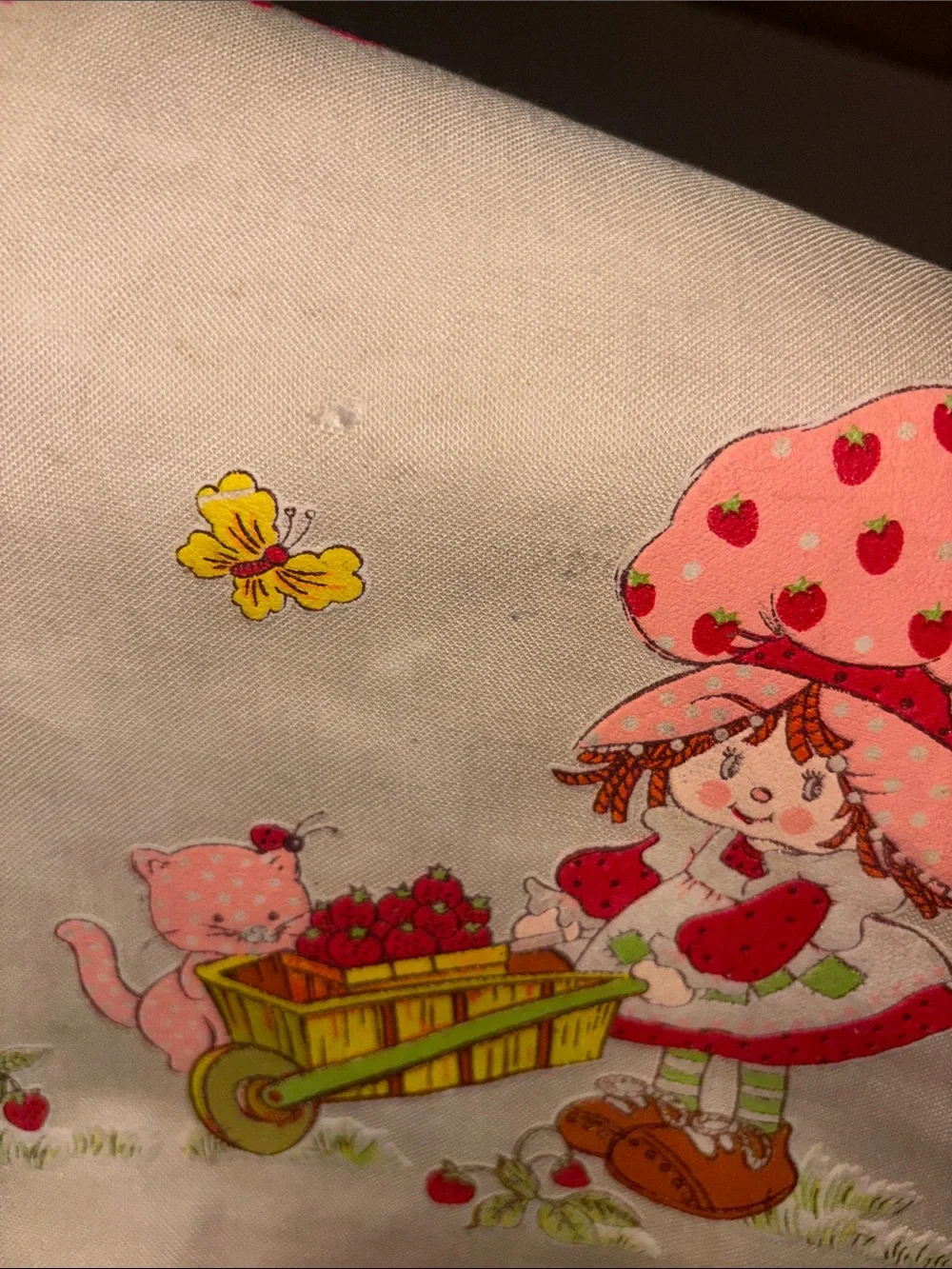 Vintage 1980’s Strawberry Shortcake Tote Bag